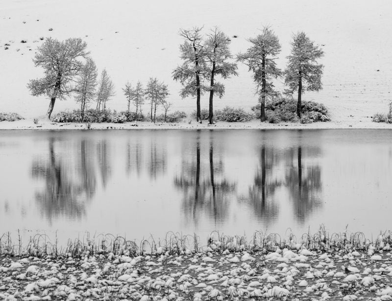 Ранний снегphoto preview