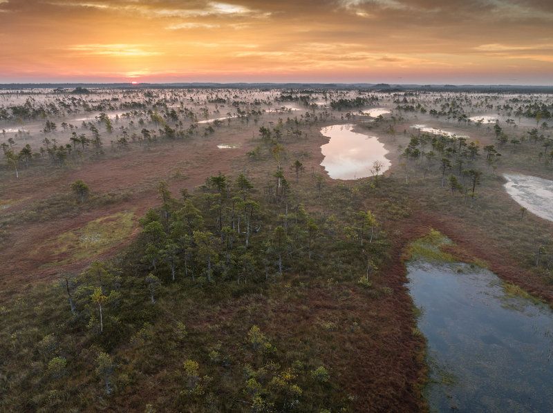 #kemeri, #болото, #утро, #туман, #рассвет Утро на болоте. Сентябрь фото превью