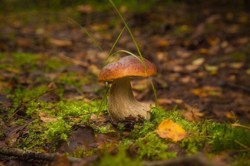 Позёрphoto preview