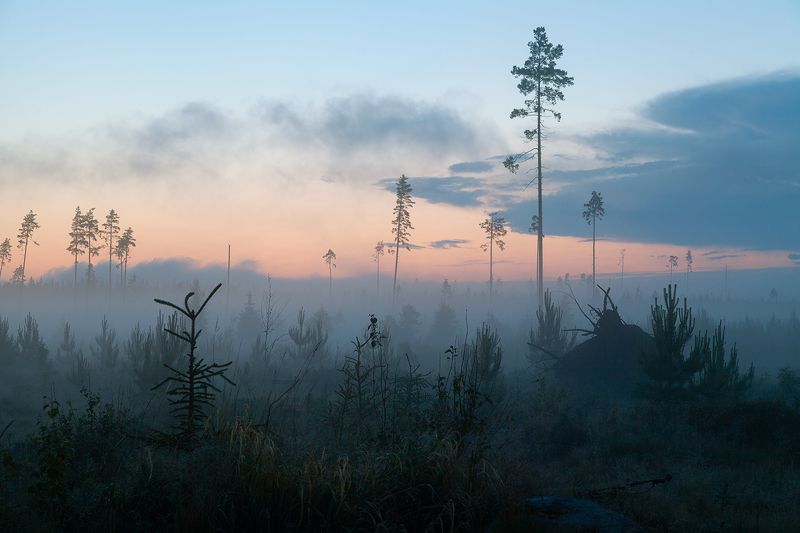 ночь, туман, пейзаж, природа White nightphoto preview