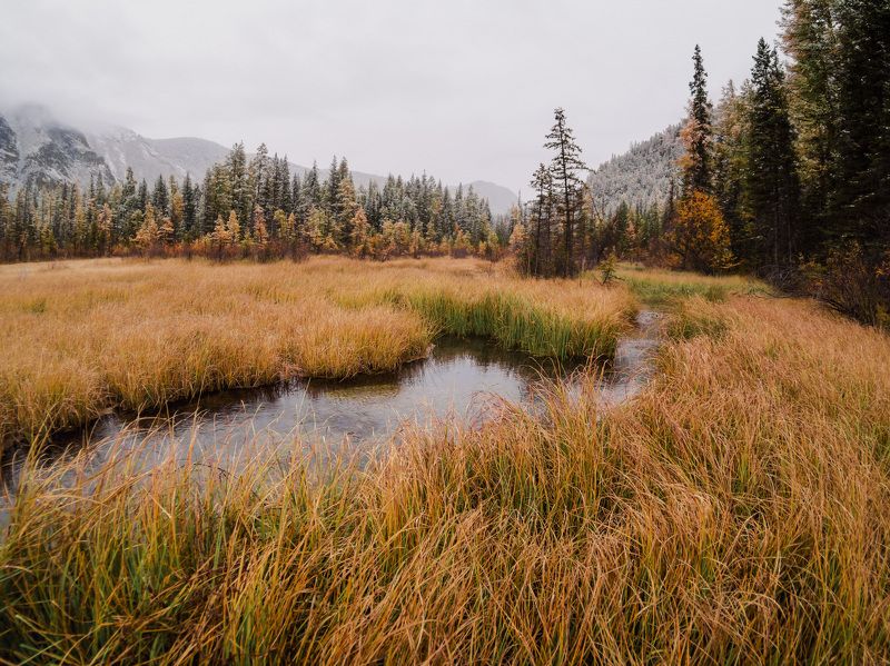 Алтайская осеньphoto preview