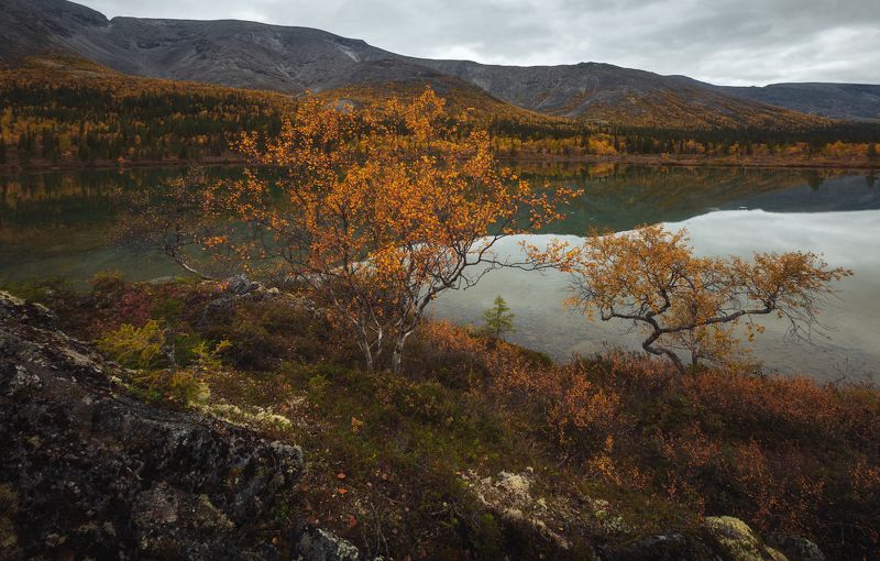 хибины, кольский полуостров Осень на Кольском полуострове.photo preview