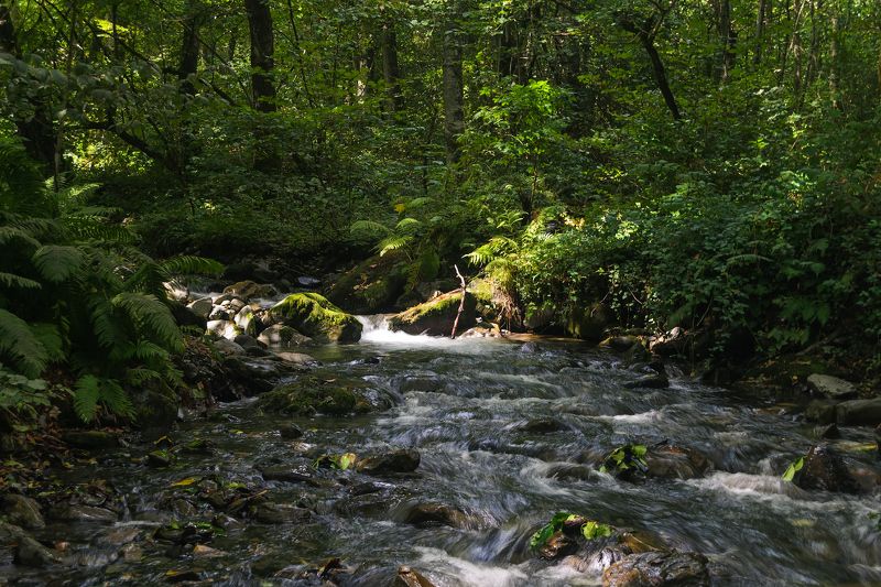 У реки.photo preview