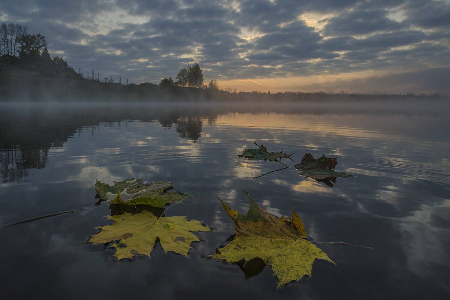 Осенний хоровод. Автор: Михаил Агеев утро, рассвет, архангельское, Михаил Агеев