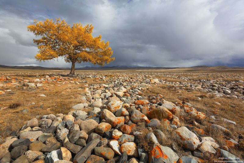 солнце, россия, рассвет, природа, подмосковье, погода, пейзажи, пейзаж, отражение, наукоград, красота, дубна, вода, весна, weather, water, spring, russia, reflection, naukograd, nature, moscow, landscape, dawn, canon, dubna, beauty Кош-Агачский район, Республика Алтай. фото превью