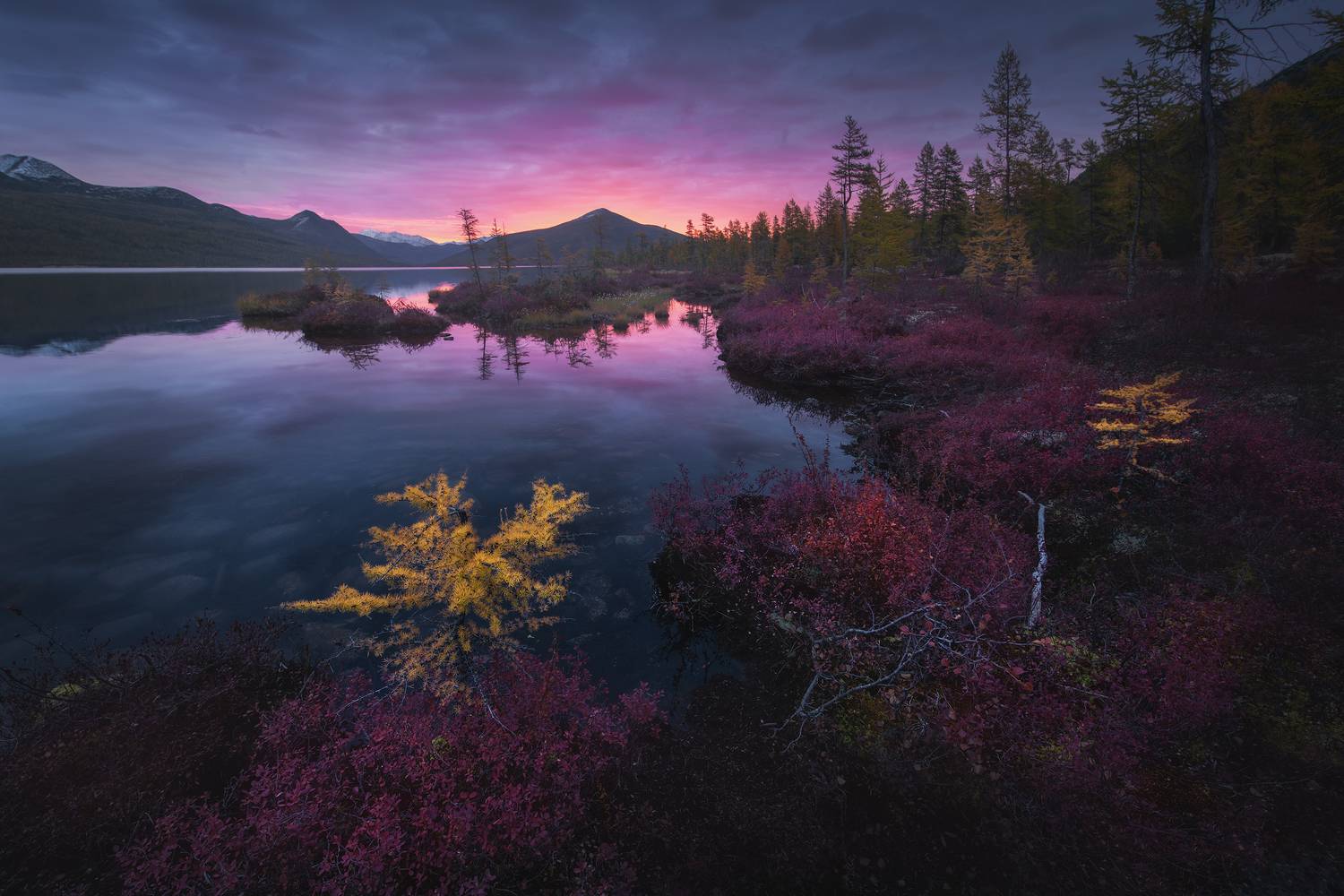 Колымский рассвет. Автор: Политова Анна , Политова Анна