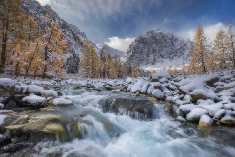 горный алтай, ак-тру, акт-туру, актру, река, снег, лиственницы, сентябрь, караташ Зима в сентябре... фото превью