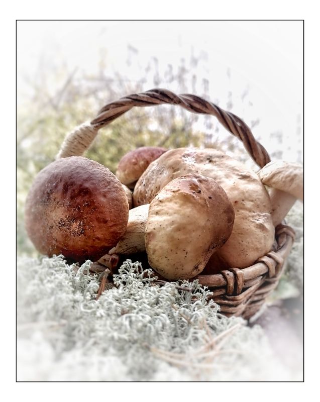 Осенний натюрмортphoto preview