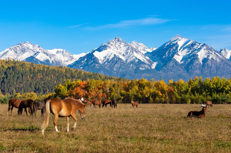 саяны, тункинская долина Тункаphoto preview