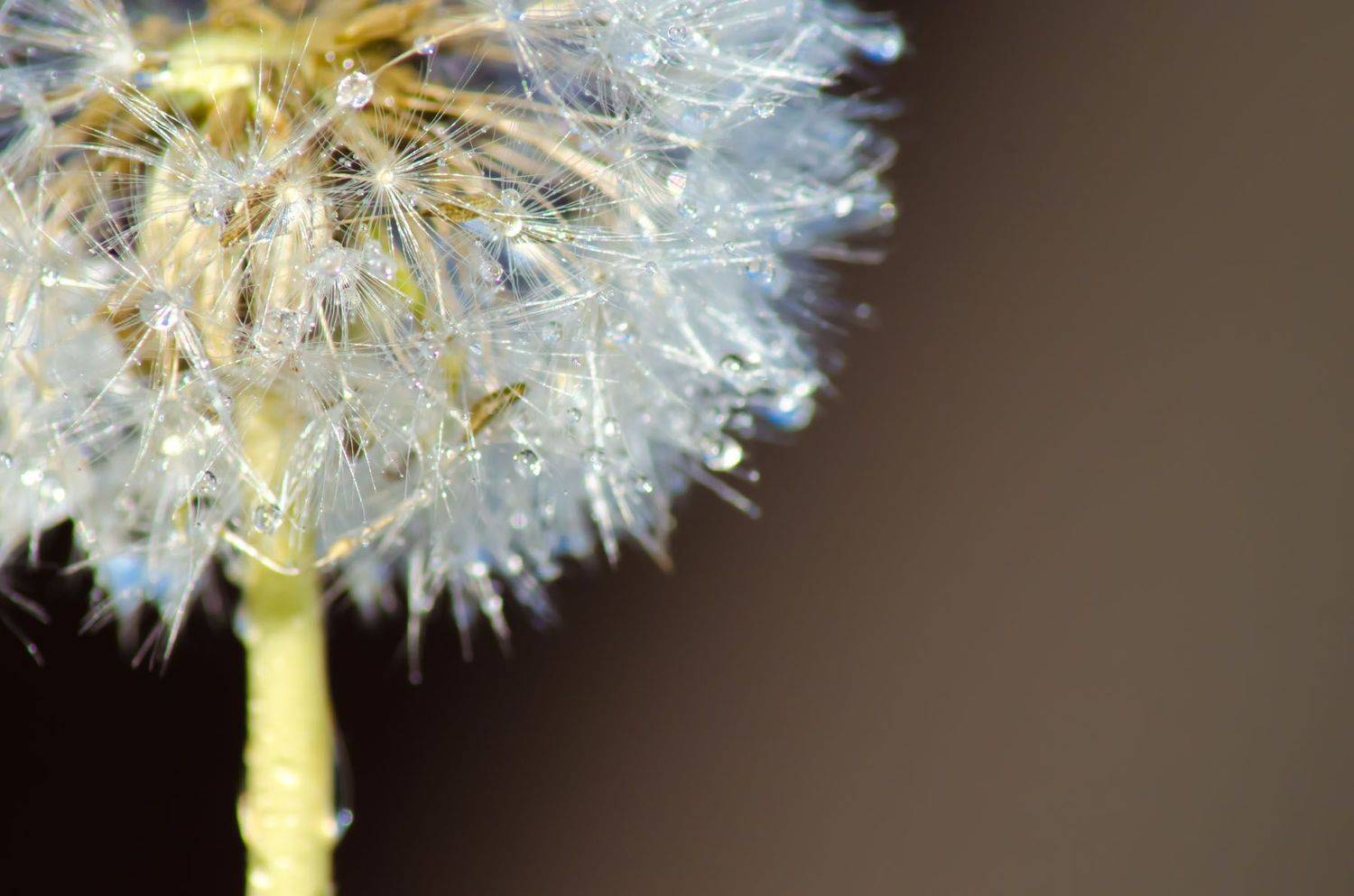 Автор: Савенко Кирилл , Савенко Кирилл