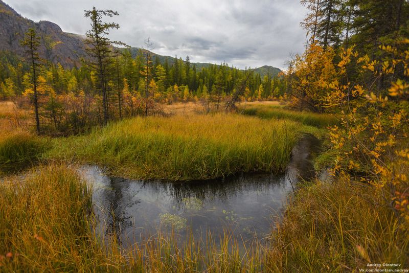 солнце, россия, рассвет, природа, подмосковье, погода, пейзажи, пейзаж, отражение, наукоград, красота, дубна, вода, весна, weather, water, spring, russia, reflection, naukograd, nature, moscow, landscape, dawn, canon, dubna, beauty Гейзеровое озеро, Улаганский район, Республика Алтай. фото превью