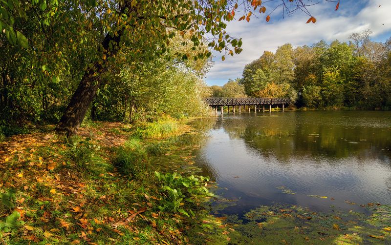 парк, осень, природа, москва Начало осениphoto preview