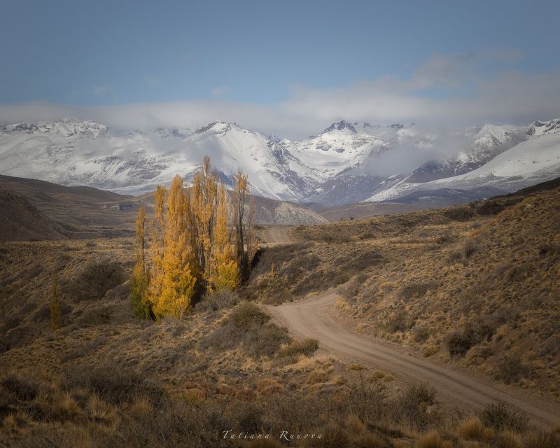 Дорога в парк Патагонияphoto preview