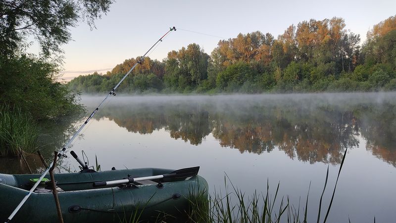 мобильное фото Мобильное лето 2023photo preview