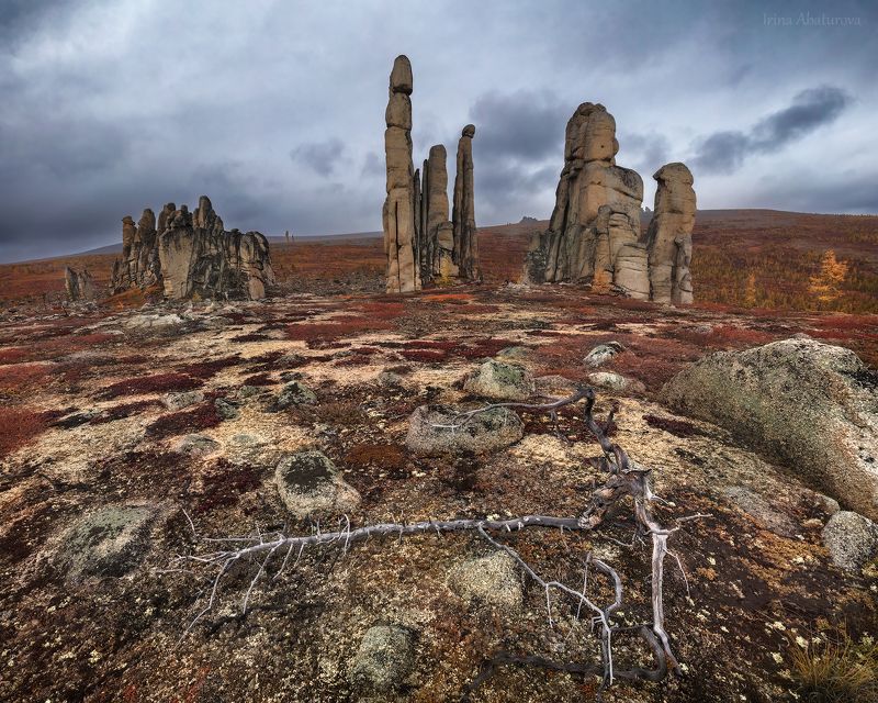 якутия, индигирка, улаха-сис, останцы, каменные столбы, осень, пасмурное небо Мрачная красота Улахан-Сисphoto preview