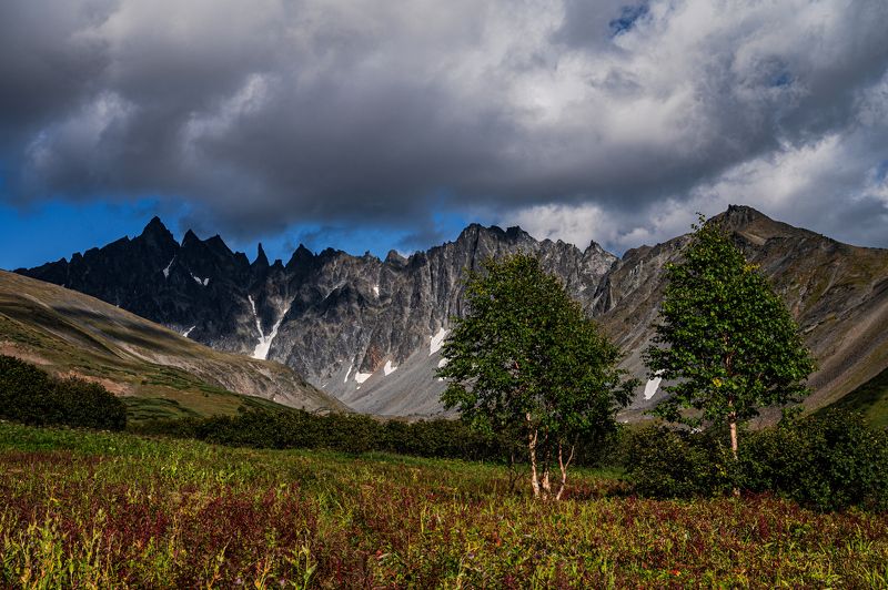 Ганальские Вострякиphoto preview