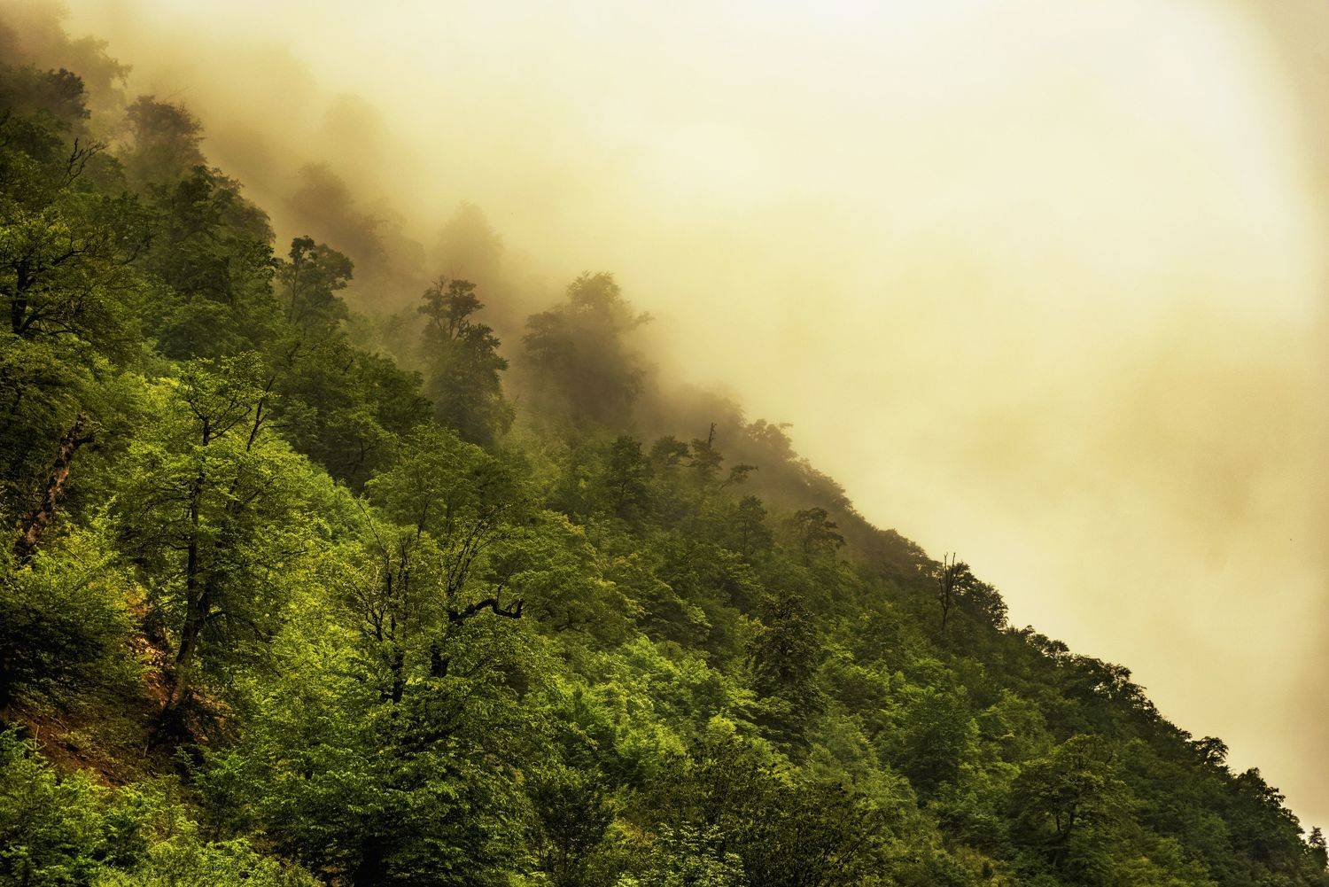 Автор: Hussein Najem , Hussein Najem