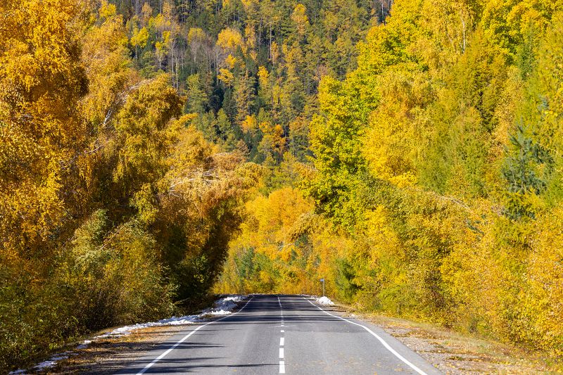 тункинская долина, саяны Дорога в осень.photo preview