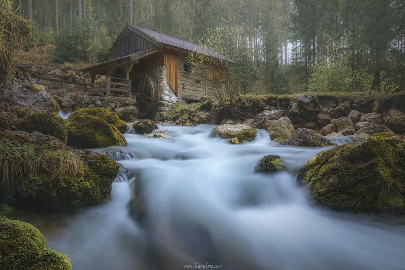 Отголоски прошлогоphoto preview