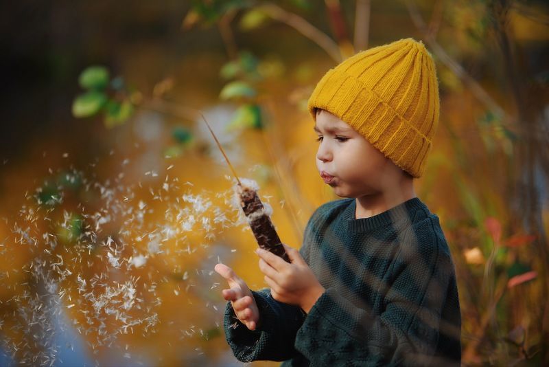 осень, камыш, дети, kids photo preview