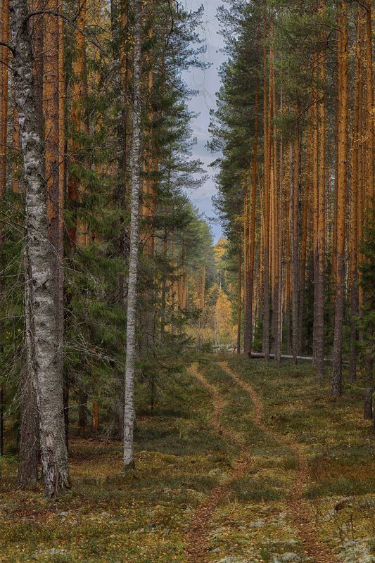 Осенняя пораphoto preview