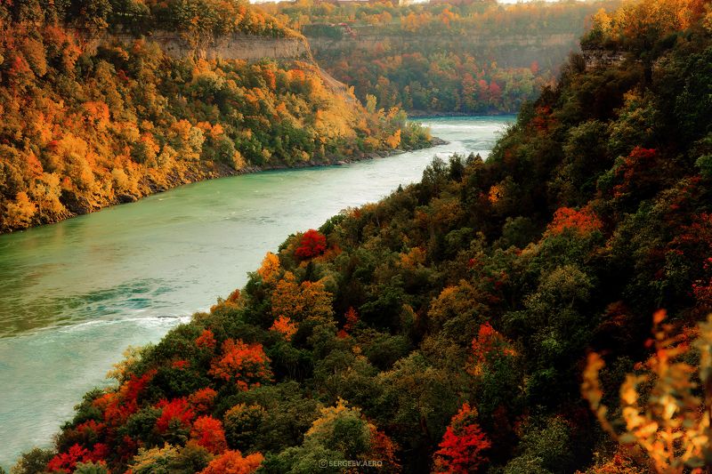канада, онтарио, осень, природа, пейзаж, река, сезон, октябрь, русло, америка, утёс, северная америка, canada, ontario, autumn, nature, landscape, river, season, october, riverbed, america, cliff, north america Ржавеет листва... | the leaves are rusting фото превью