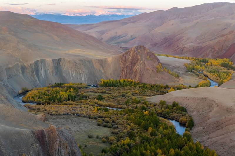 russia, altay, алтай Урочище Кокоря фото превью