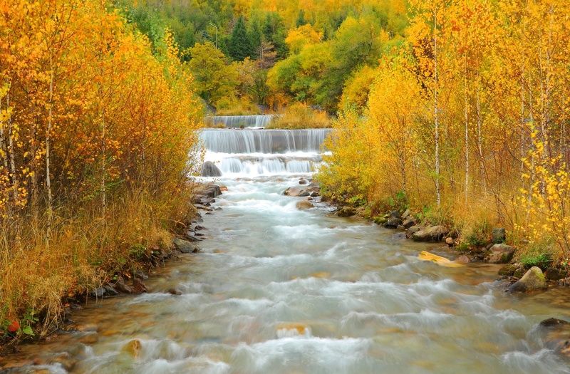 шаварёв, арт, природа, Золотая осень.photo preview