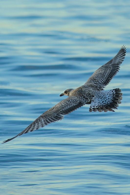 Untitled#*photo preview