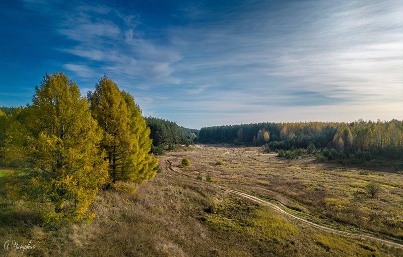 Осенний денекphoto preview