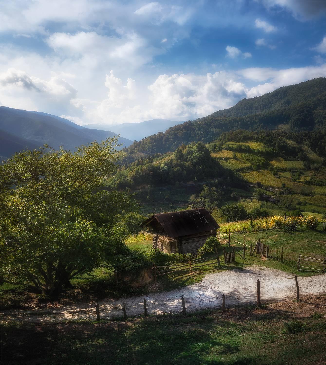 Quiet and Lonely. Автор: Helen Vasilieva #Georgia,#landscape,#nature,#mountains,#fall, Helen Vasilieva