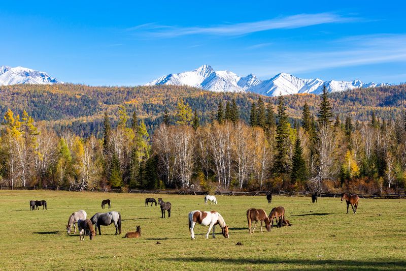 В Тункинской долинеphoto preview