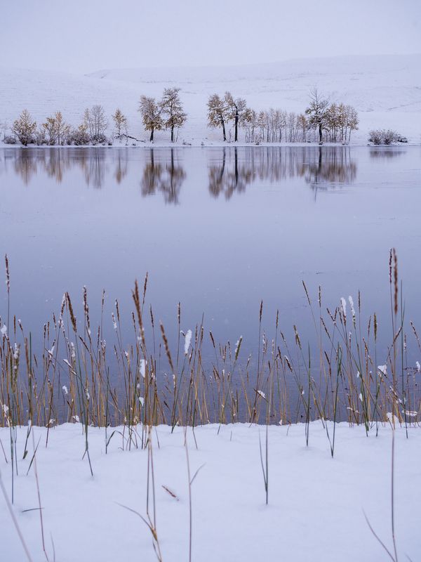 Первый снегphoto preview