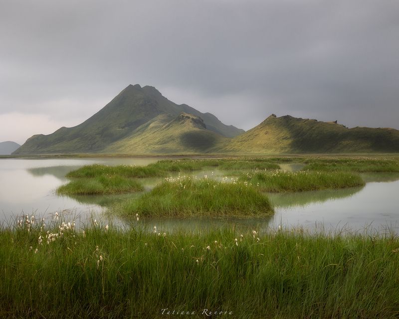 Пейзаж с пушицейphoto preview