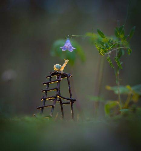 Домашние заботы