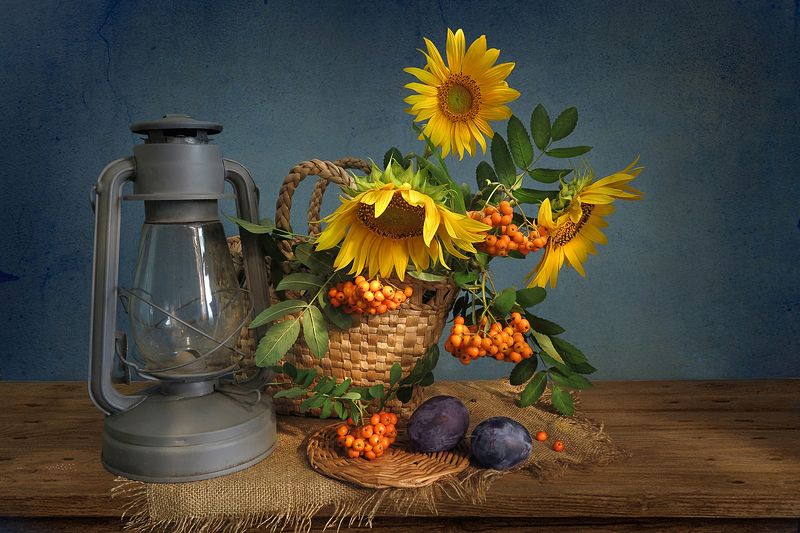 натюрморт,подсолнухи,лампа,сливы,рябина,корзина,мешковина Подсолнухи и лампаphoto preview