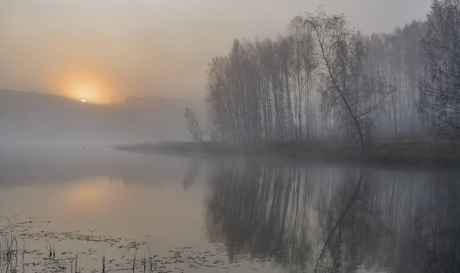 .... Автор: Макеев Алексей , Макеев Алексей