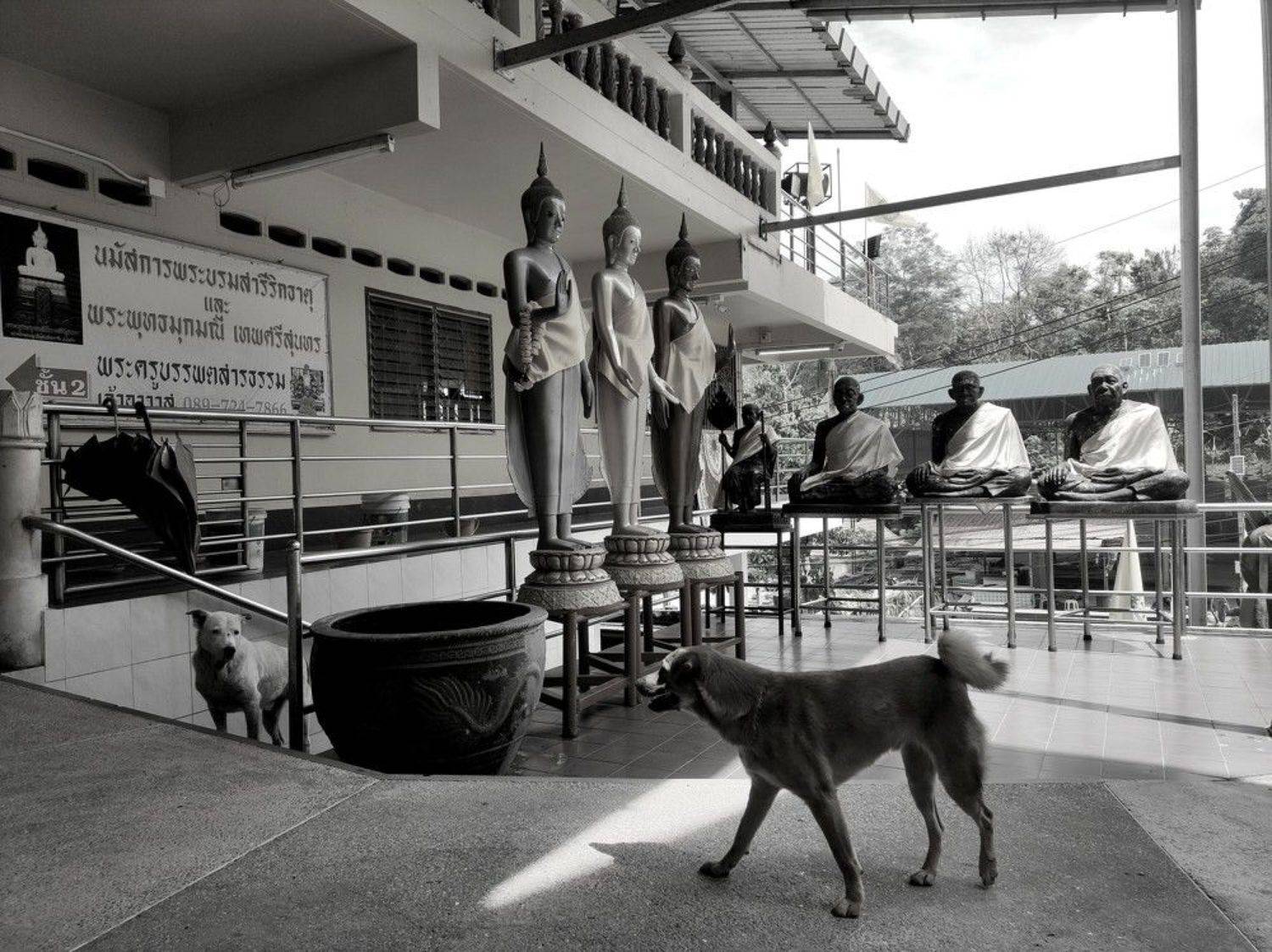 храм, тайланд, ч/б, Karina Yakovleva