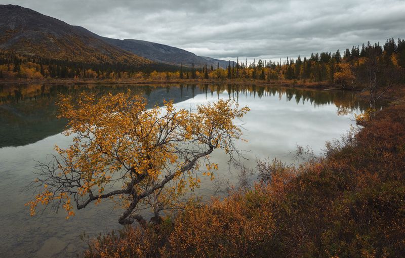 Кольский полуостров, Хибины, Осень Осень на Кольском полуостровеphoto preview