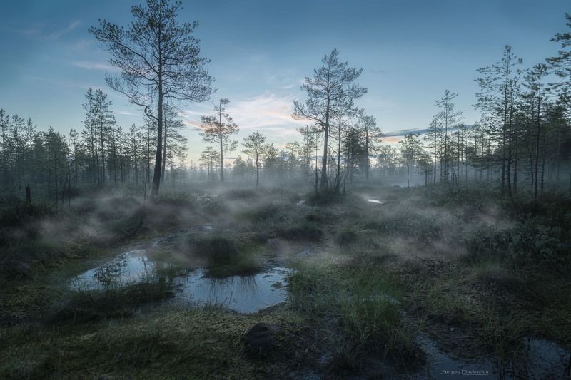 болотоphoto preview