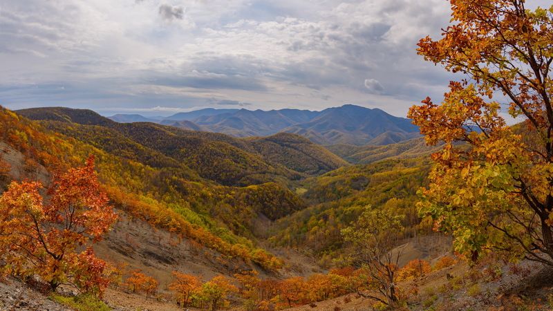 осень, горы, сихотэ-алинь Осенний Сихотэ-Алиньphoto preview
