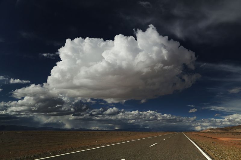 Touch the sky...photo preview