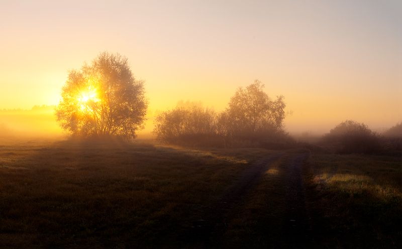 воронеж, боровое, туман, рассвет, золотой час, пейзаж, воронежская область, сентябрь *photo preview