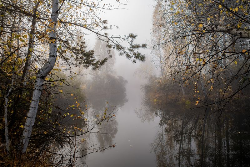 сибирь Уходящая осеньphoto preview