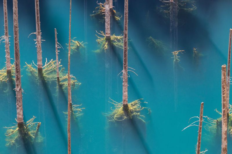 казахстан, северный тянь-шань, озеро каинди, утро Озеро Каинди на рассветеphoto preview