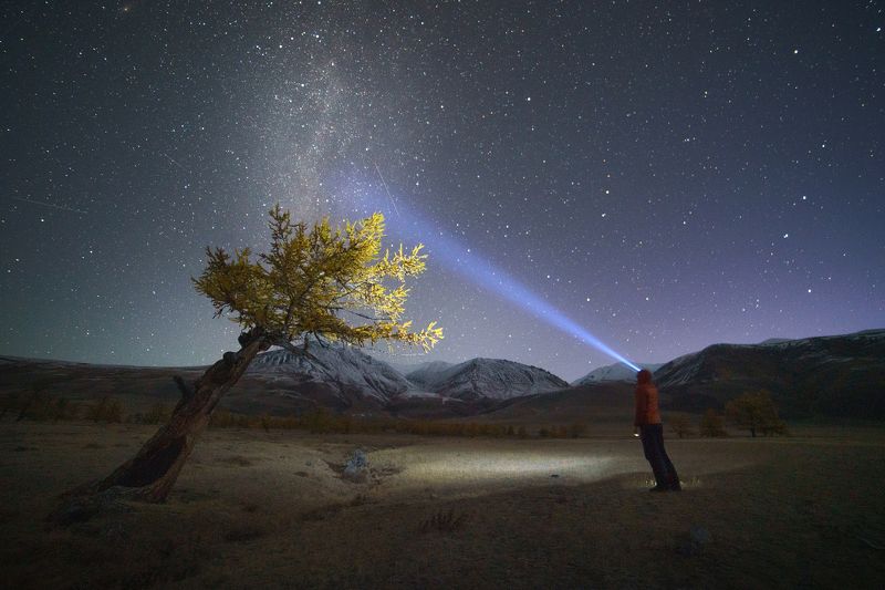 тува, республика тыва,  siberia, тайга, nerozya, russia, tuva, travel, exployer, russia Ночной диалогphoto preview