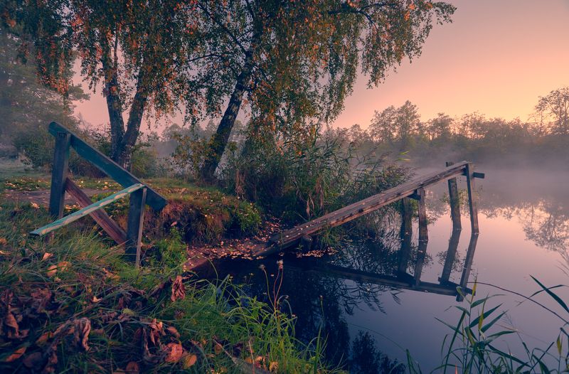 Было лето ...photo preview