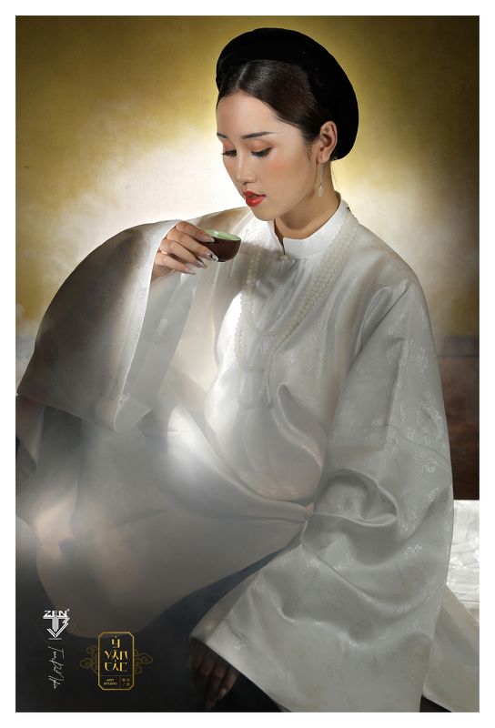 Vietnamese visual arts and media costumesphoto preview