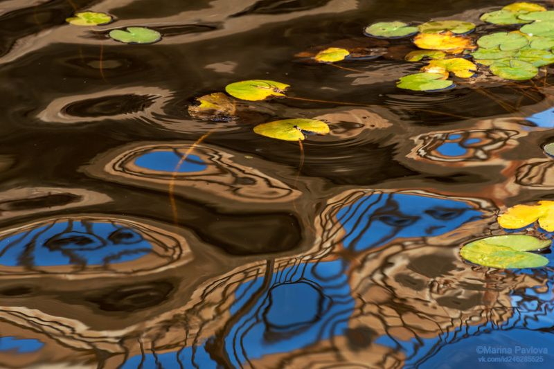 абстракция, акваабстракция, акваграфика, отражение на воде, парейдолия, осенние отражения, красивая вода, красный пруд,природа Призрачный мир осеннего прудаphoto preview