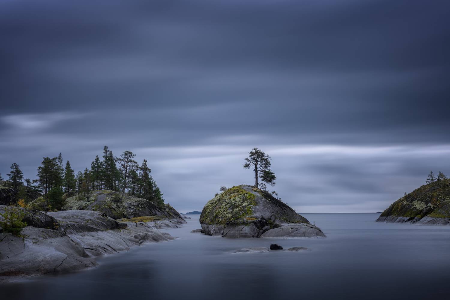 , Максим Евдокимов